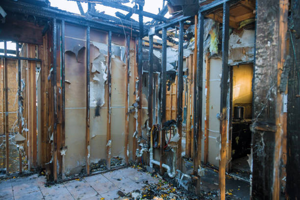 Professional Structural Rebuild technician working in Arcadia, WI